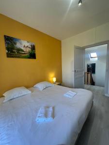 T3 vue sur le Château dAzay-le-Rideau ! Avec 2 SDB