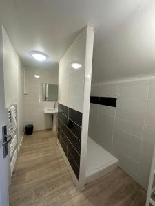 T3 vue sur le Château dAzay-le-Rideau ! Avec 2 SDB