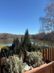 Ferienwohnung Seeblick