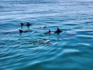 Kilulu Private Island