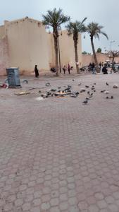 property close during renovation till 15 march