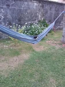 Refúgio à beira mar