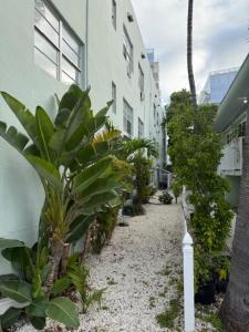 Vacation Paradise - Historic Stay - Steps to Amazing Beach