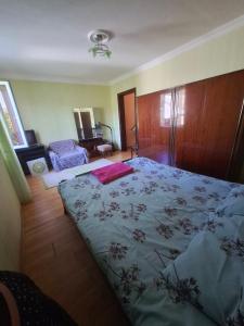 Grigoleti, Iliko Home