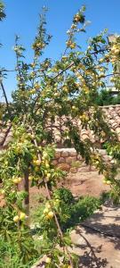 Cottage In Velies, Monemvasia