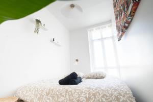 Royal Barbatre - Cathedral - Basilica