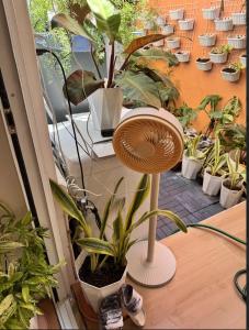 Modern Loft for Couples with Pond and Garden