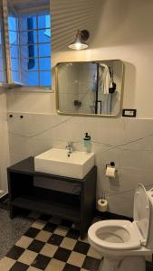 Villa Wagner - Modern Heritage City House in Cluj Center