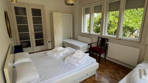 Villa Wagner - Modern Heritage City House in Cluj Center