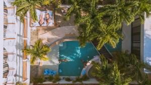 La Veleta Jungle 3 Bedroom Jacuzzi Private Pool