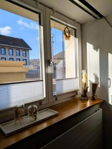 Charmantes Studio am Rhein