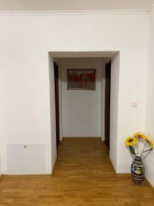 Зоряне сяйво