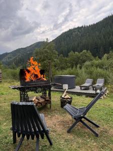 Element House Karpaty