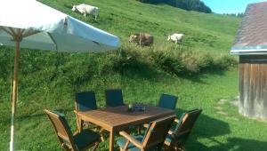 UNSER VORSÄSS - Klausberg