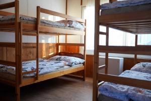 Statek Český Dvůr