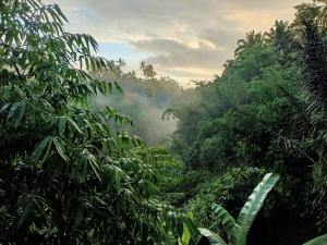 Ganesha Guest House Bali