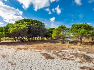 Apartment Pompia-2 by Interhome img28