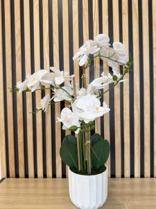 Maison au cœur d’Orgelet