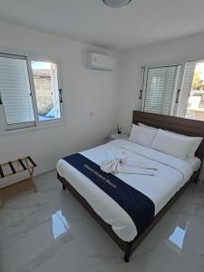 Shiamis Modern House