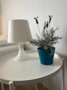 Appartement - Coeur de Ramonville 2