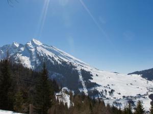 Chalet 5 chambres, Sauna, Bain Norvégien, Wifi, 12 pers. à La Clusaz - FR-1-437-57