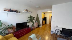 Harlem Cozy Elegance and Culture