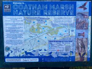 Teal - a few steps from the beach