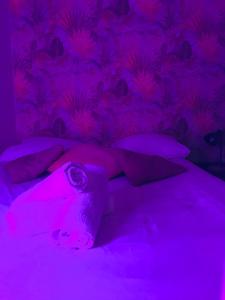 LE PASTORE Hypercentre avec Terrasse