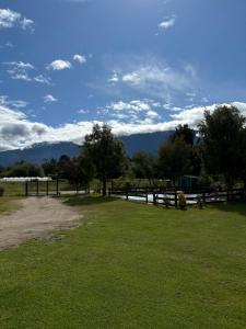 Postal del piltri