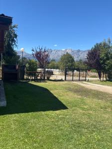 Postal del piltri