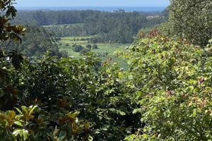 Cottage Sleeps 12 with Pool and Parking