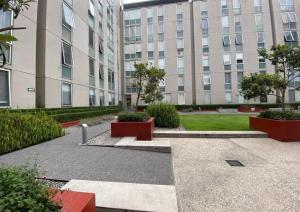 Luxury Apartment in the Heart of Roma Norte