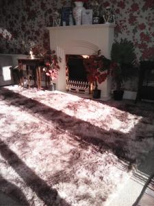 Yeolde 3 BEDROOM country View seashak Cottage NEW LOW 2026 PRICES PLUS FREE ELECTRIC ENJOY BRING YOUR DOG