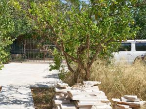 Apartment Wohnung in Kallithea mit Garten und Terrasse by Interhome