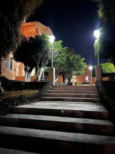 Cómodo y céntrico departamento