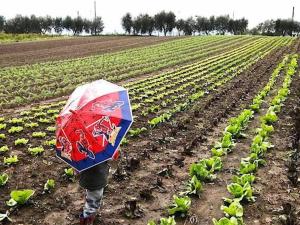 Holiday Home Lets di Proietti Ferienhaus by Interhome