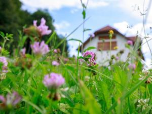 Apartment VILLA KATARINA by Interhome