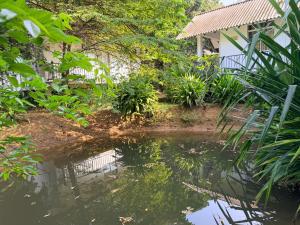 Greenfield Haven