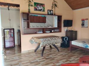 Airins Villa