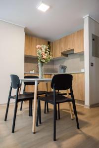 Stylish 2BR Apt in Santiago for 5 Gym Access