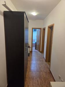 Light-Filled Apartment Near City Center