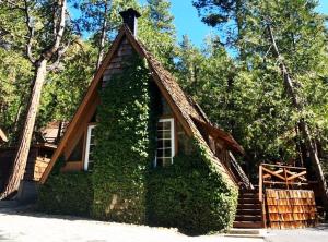 Clarity Cabin A-Frame Sanctuary w Hot Tub Fireplace Grill AC Hammock Chairs Fire Pit Pets OK