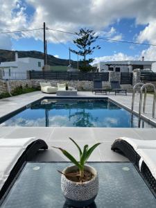 Zandre Luxury Suites