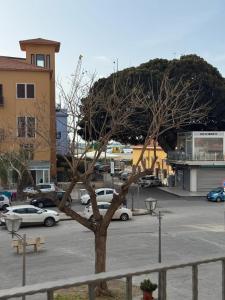 Lory Sweet Rooms