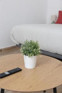 Carrera de Capuchinos Suite