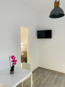 LEIVADAROS apartments