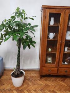 Central old town escape