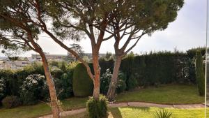 La Pinède - Appartment 3 bedrooms