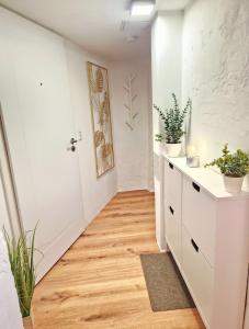 Urlaub im Herzen Wismars Souterrain N