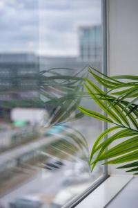 Elegant 2BR Executive Apartment Central MK